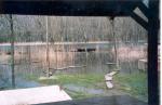 A term�eszet lassan kezd �jj��ledni