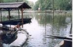 2006.03.10-t�l a Dun�n t�rt�n� �rad�s igen nagy kihat�ssal volt a 