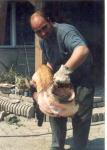 Milyen horg�szzsin�r sz�ks�ges egy 48 kilogrammos harcsa kifog�s�hoz mely Papp Tibornak siker�lt 200