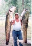 Az egyik 35 kg-os, a m�sik 95 kg-os, a harmadik pedig 54 kg-os. Melyik a k�z�ps�?