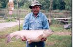 Egy a sok k�z�l: Kov�cs G�bor 22kg-os am�rja