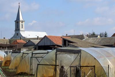 Kupuszinai tet�k