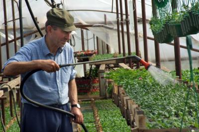 P�ter Imre: Hajnalban j�g �llt az aut� tetej�n, szerencs�re a vir�goknak nem �rtott a hideg