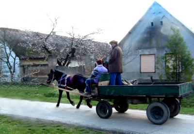 Itt m�g vannak lovas kocsik